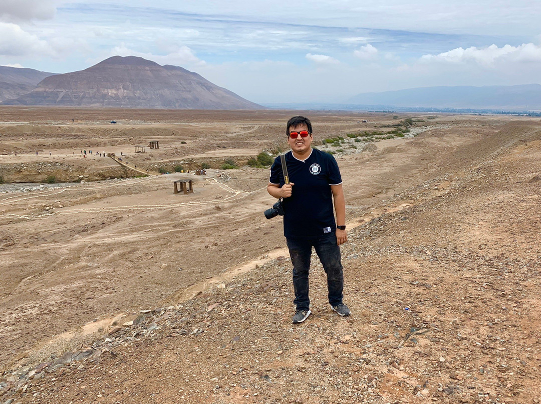 Miculla Petroglyphs-塔克纳必去景点