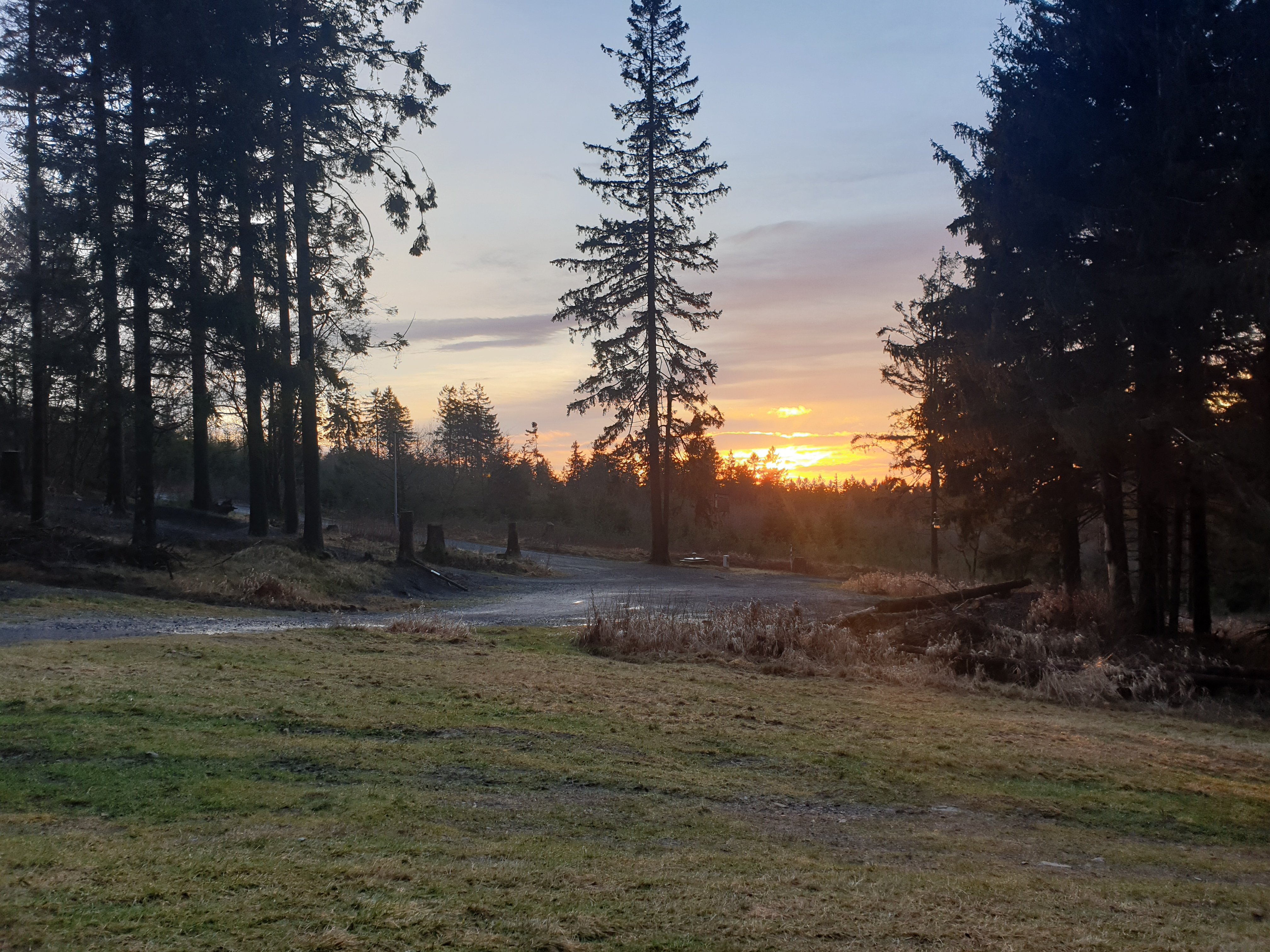 Hotel Berghof am See-官方