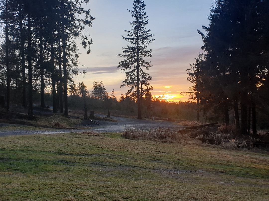 Hotel Berghof am See主图