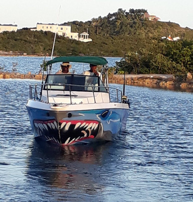 Best Day Tours-普罗维登西亚莱斯必去景点