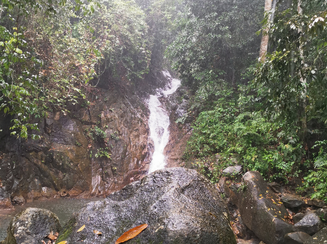 Taka Melor Amenity Forest