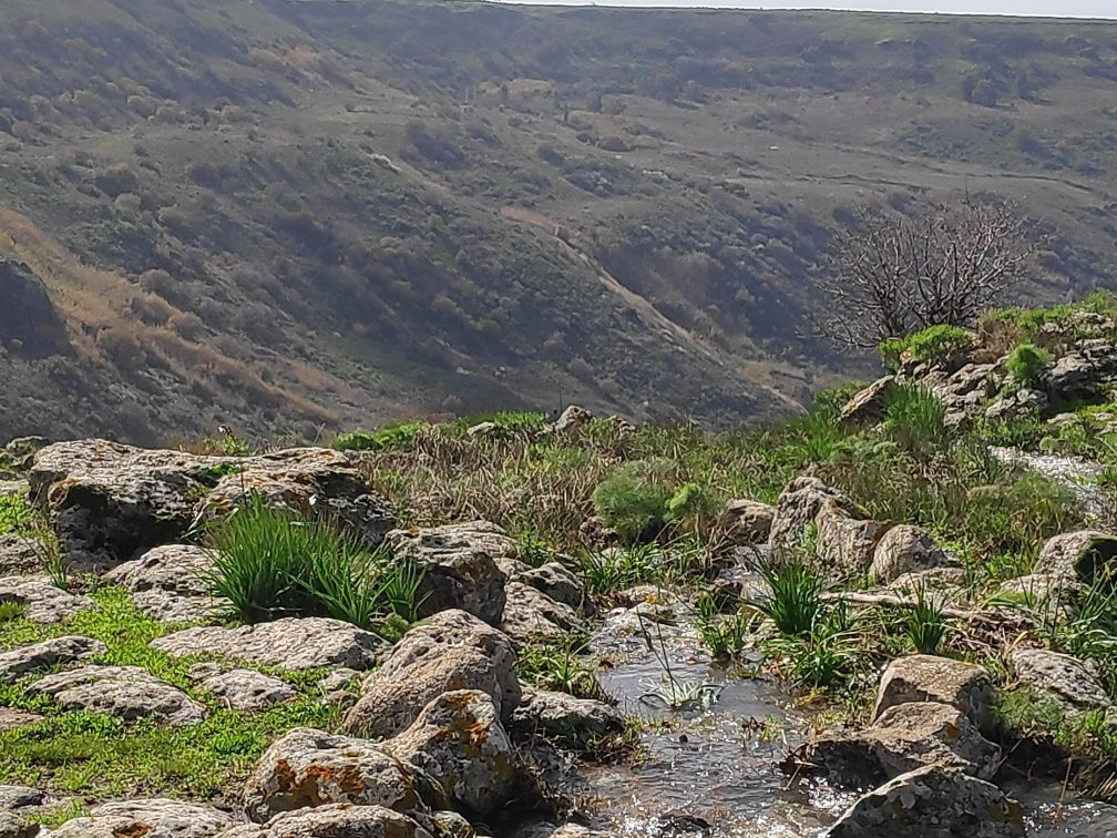 Gamla Nature Reserve-Katzrin必去景点