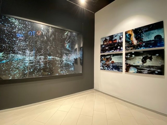 Gallery 70-地拉那必去景点