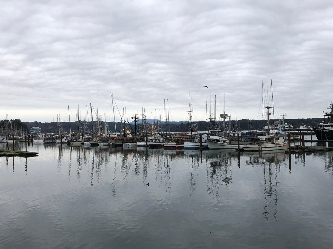 Newport's Historic Bayfront-纽波特必去景点
