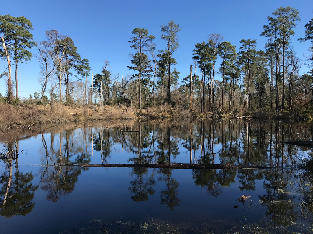 Pundt Park-斯普林必去景点