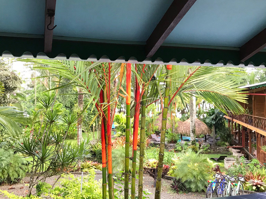 Hotel Banana Azul主图