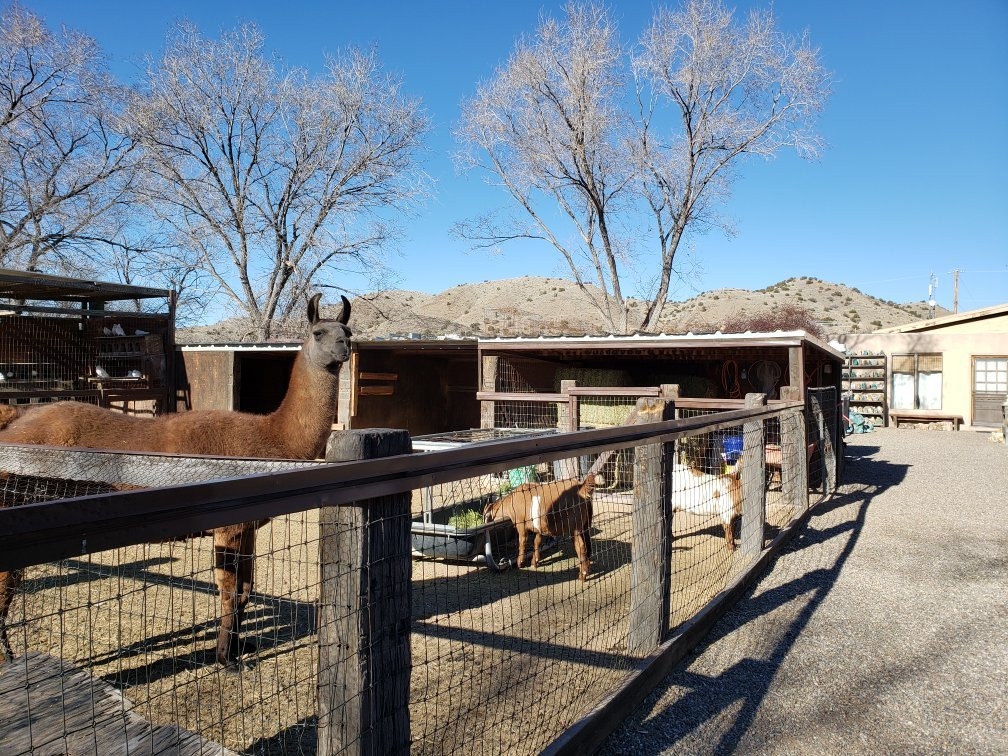 Casa Grande Trading Post Petting Zoo & Cerrillos Turquoise Mining Museum-Cerrillos必去景点