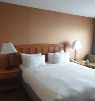 Vagabond Inn Executive SFO Airport主图