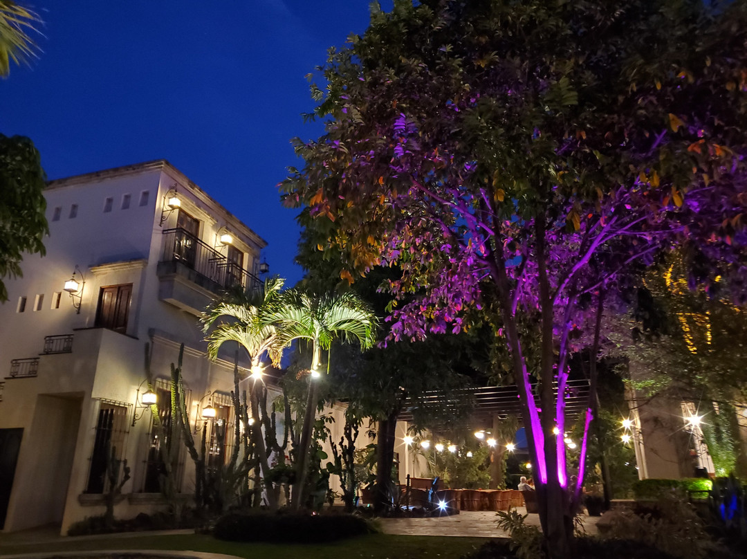 Hotel Villa Tequila主图