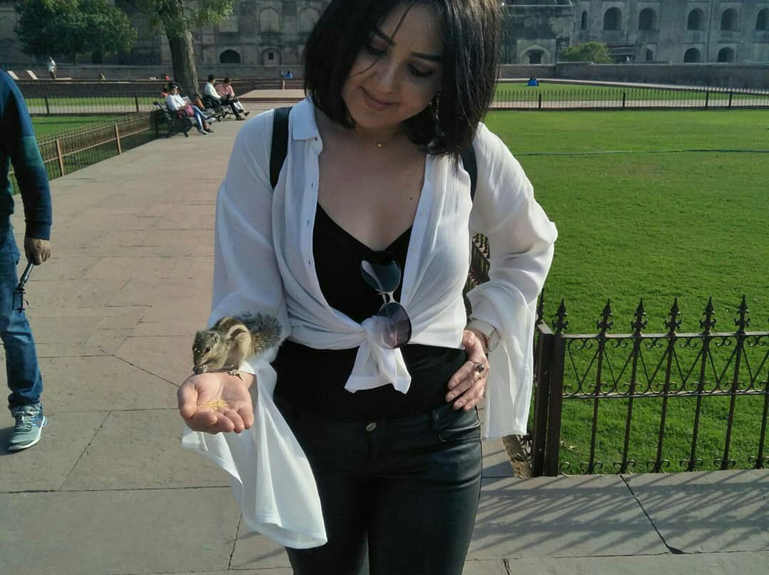 visit golden triangle trip-阿格拉必去景点