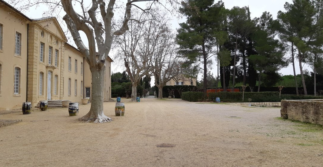 Domaine d'O景点图片