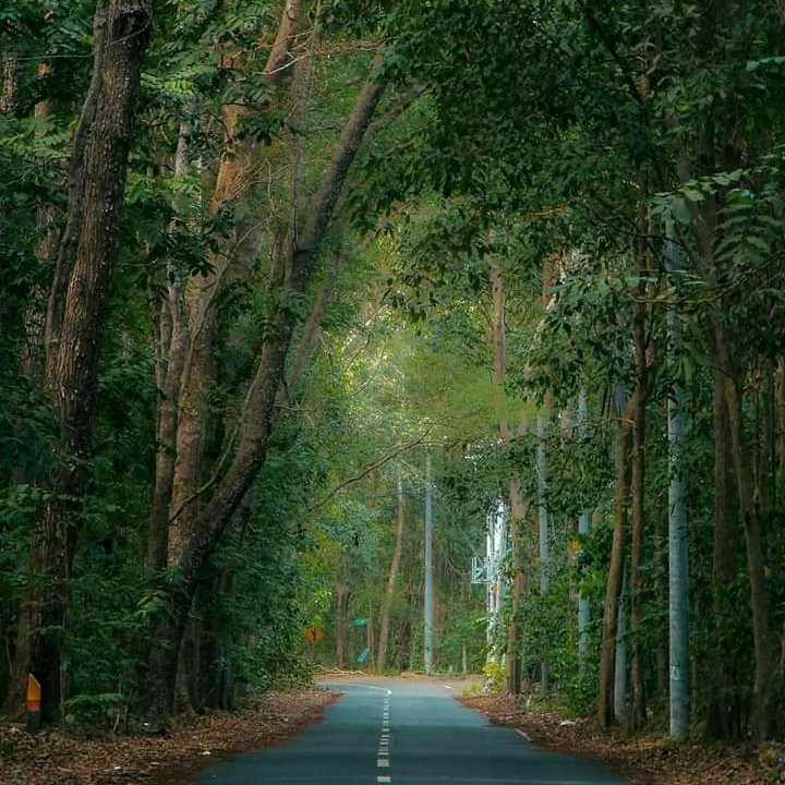 Alas Purwo National Park-巴纽旺宣必去景点