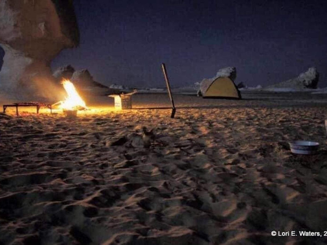 Blue River-开罗必去景点