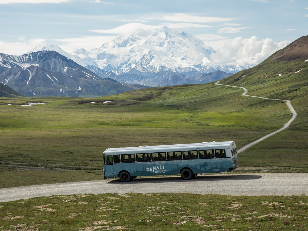 Denali Backcountry Adventure景点图片