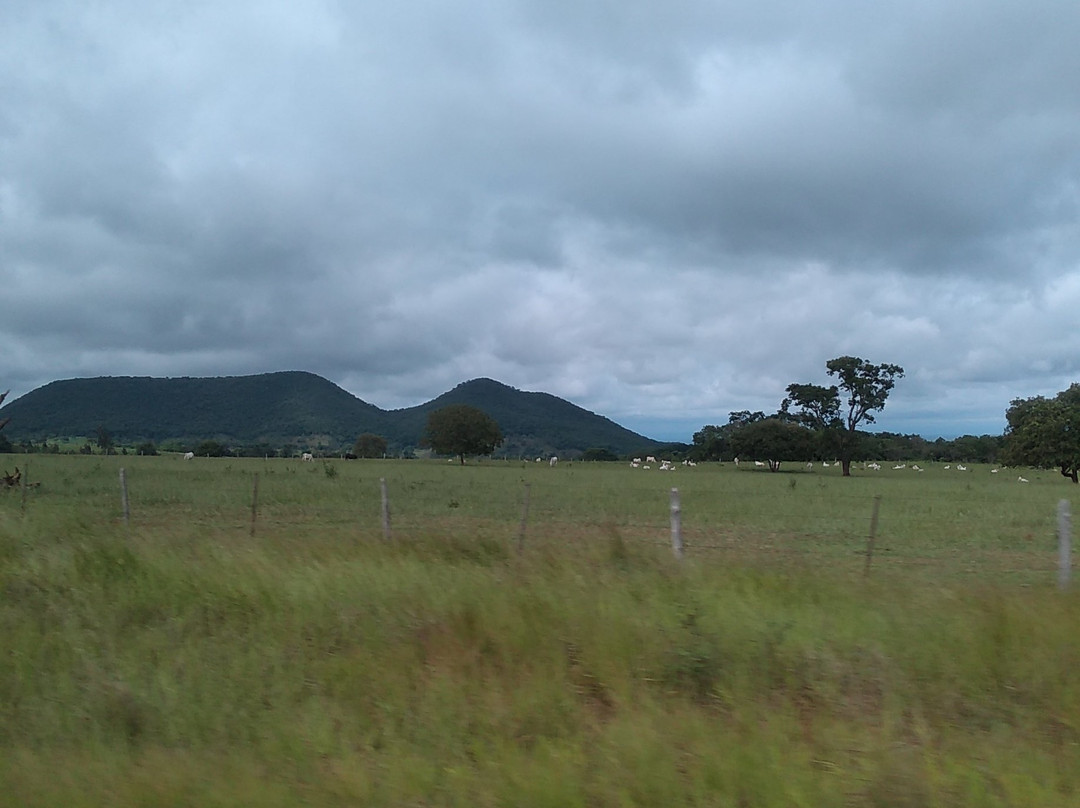 Jardim Ecopark-雅尔丁必去景点