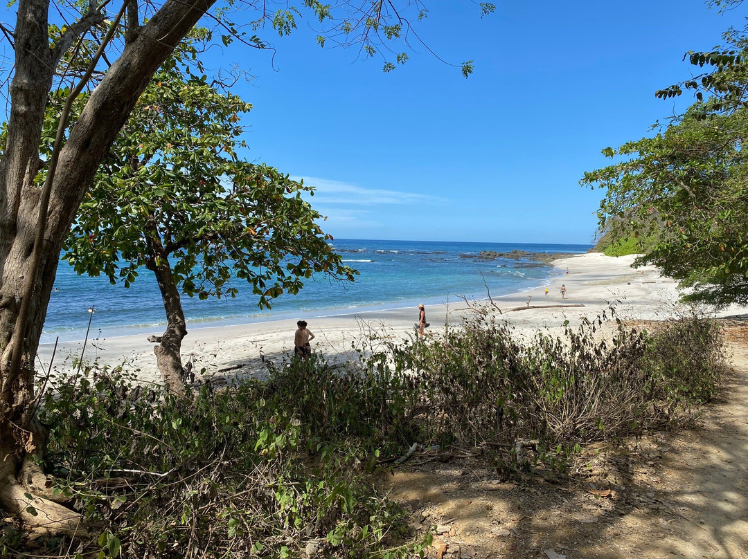 Treetops B&B Inn主图