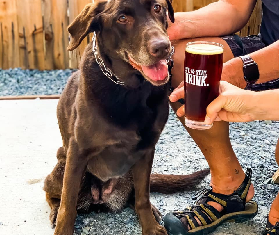 Dueling Dogs Brewing Co.景点图片