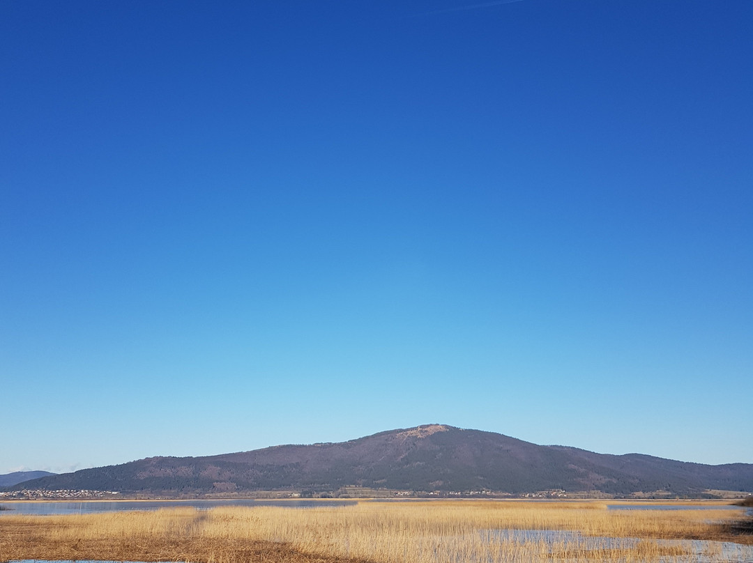 Cerknica Lake景点图片