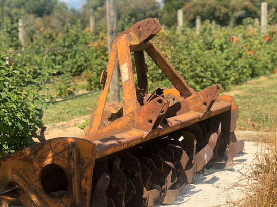 Whatawhata Berry Farm