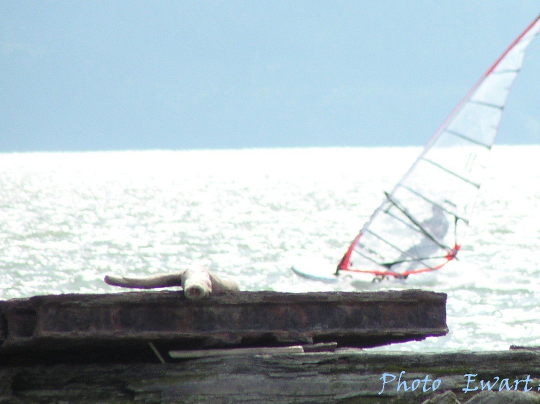 Nexen Beach-斯阔米什必去景点