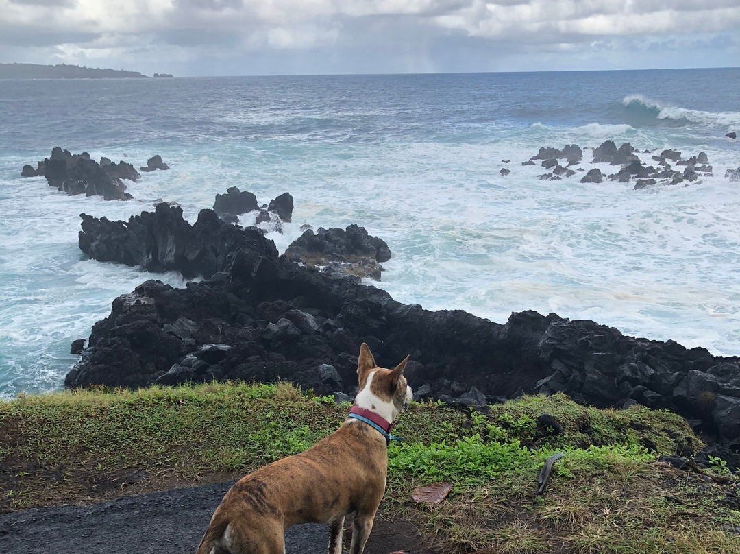 Nahiku Viewpoint-海库必去景点
