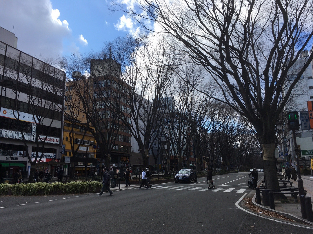 Jozenjidori Ryokuchi-仙台市必去景点