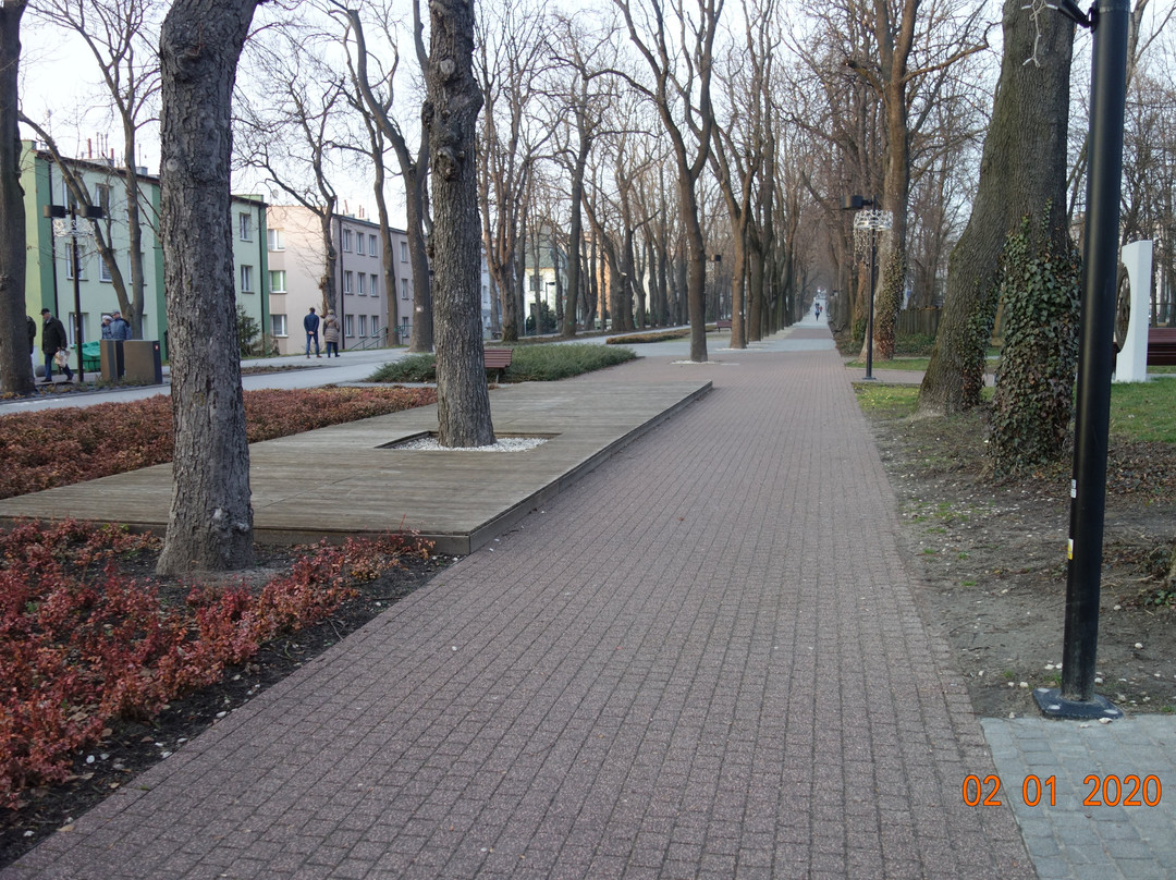 Park Zdrojowy景点图片