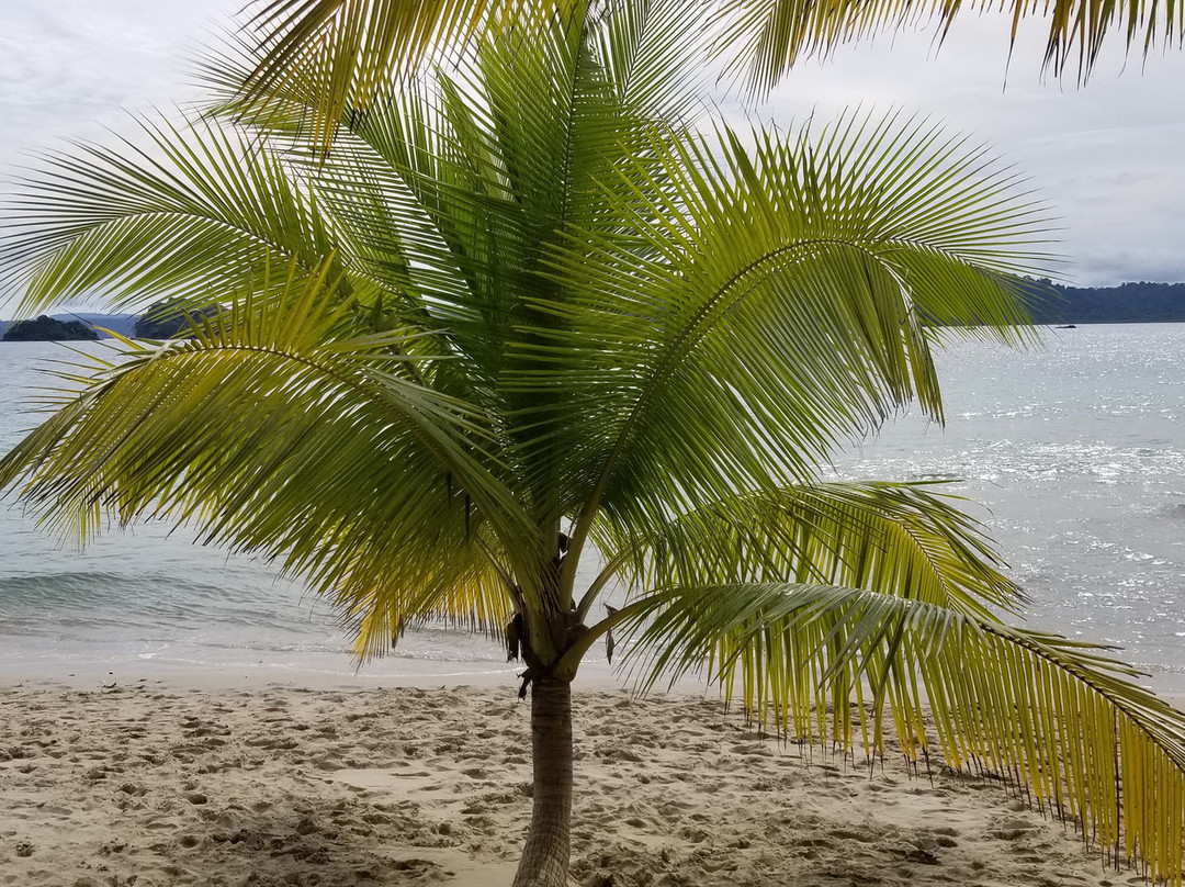 Panama Ocean Tours and Water Sports景点图片