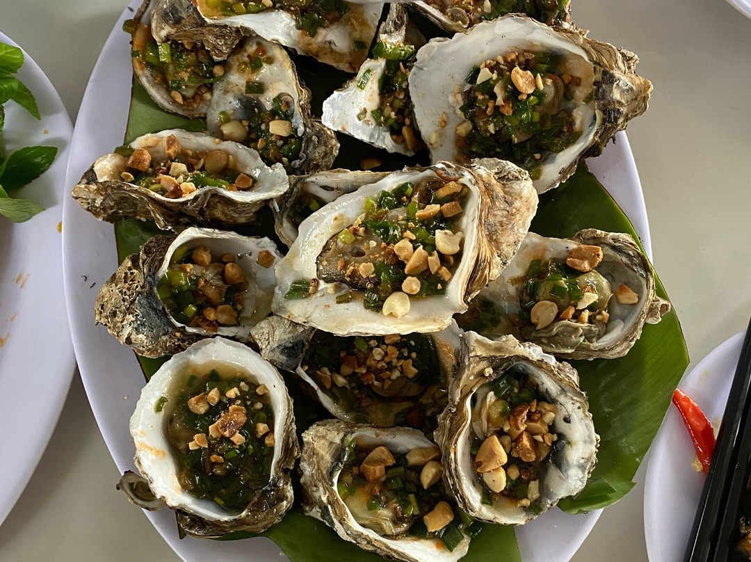 Hoian Easy Rider Backpacker Tour - Day Tours-会安必去景点