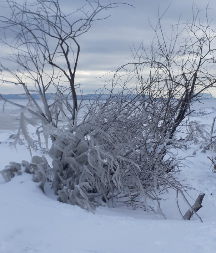 Mission Island Marsh Conservation Area-桑德贝必去景点