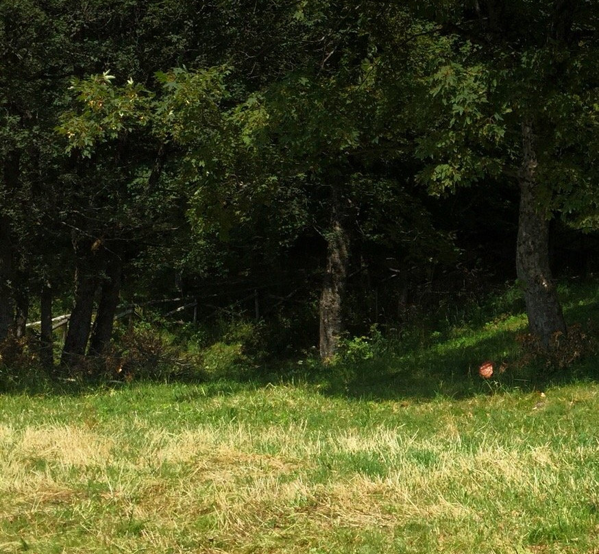 Eremo Di San Matteo-Palanzano必去景点