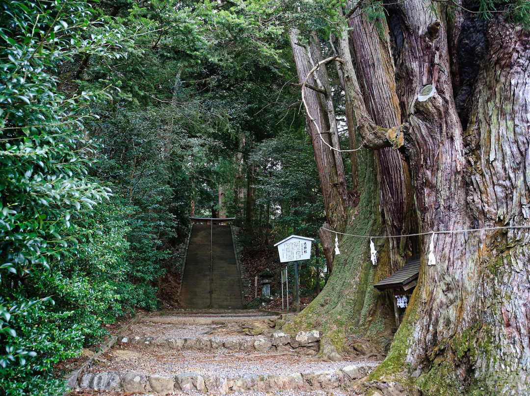 Hagihiyoshi Shrine-都几川町必去景点