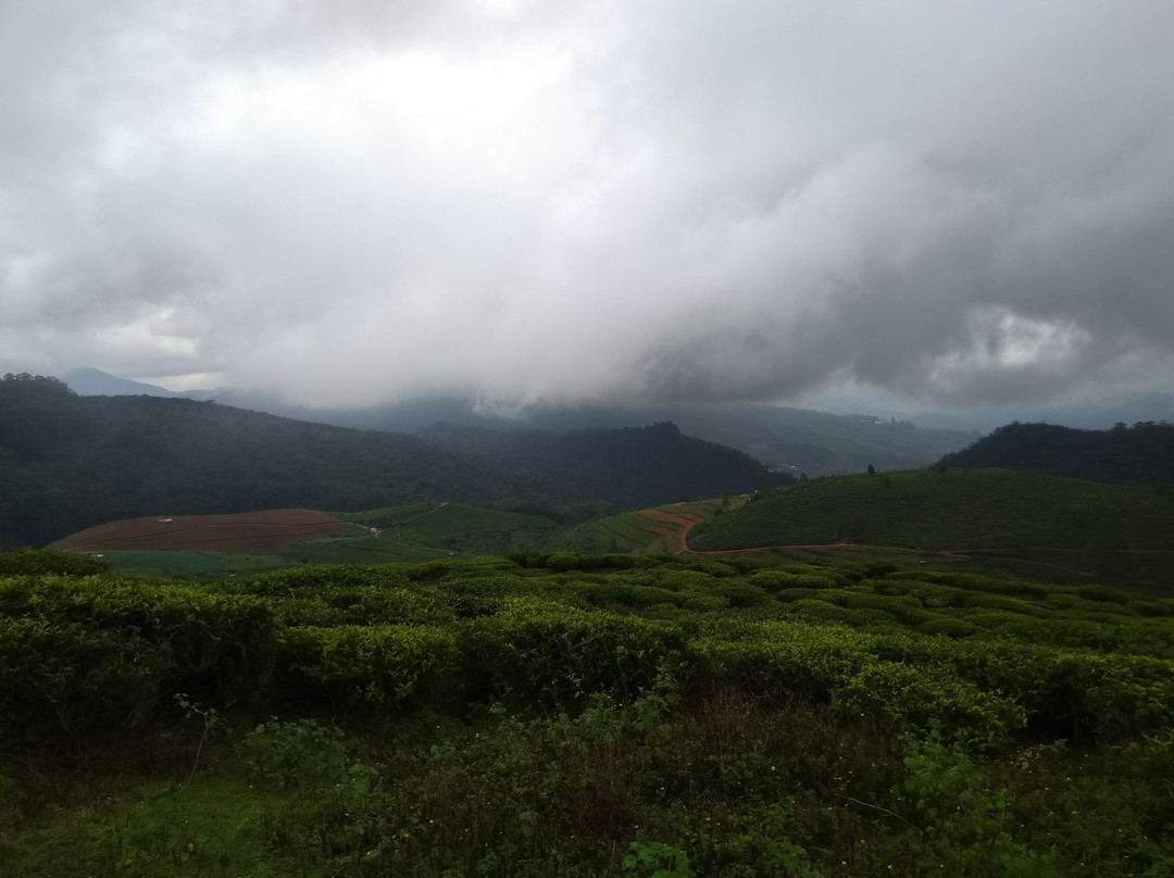 Visit Nuwara Eliya-奴娃拉伊利雅必去景点