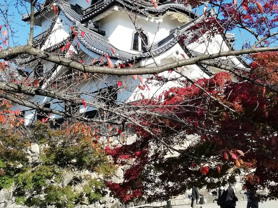 Hikone Castle Nishinomaruju Tower-彦根市必去景点
