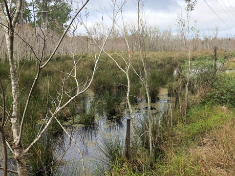 General James A. Van Fleet State Trail-Polk City必去景点