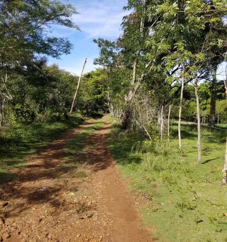 Lunaberg-Gaspar Hernandez必去景点