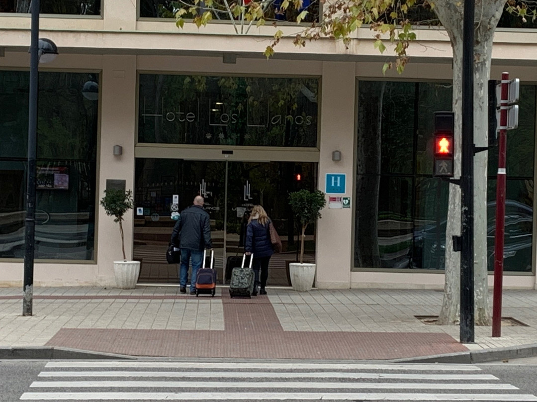 Sercotel Los Llanos主图