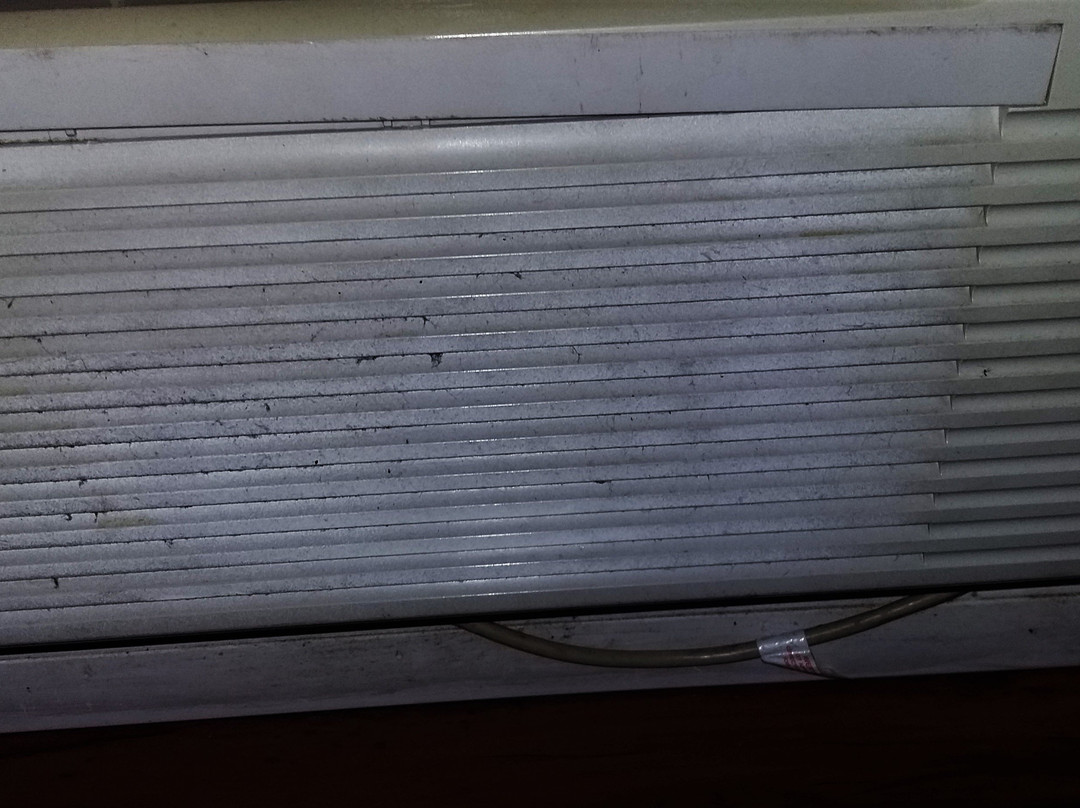 Blue Spring Inn Orange City主图