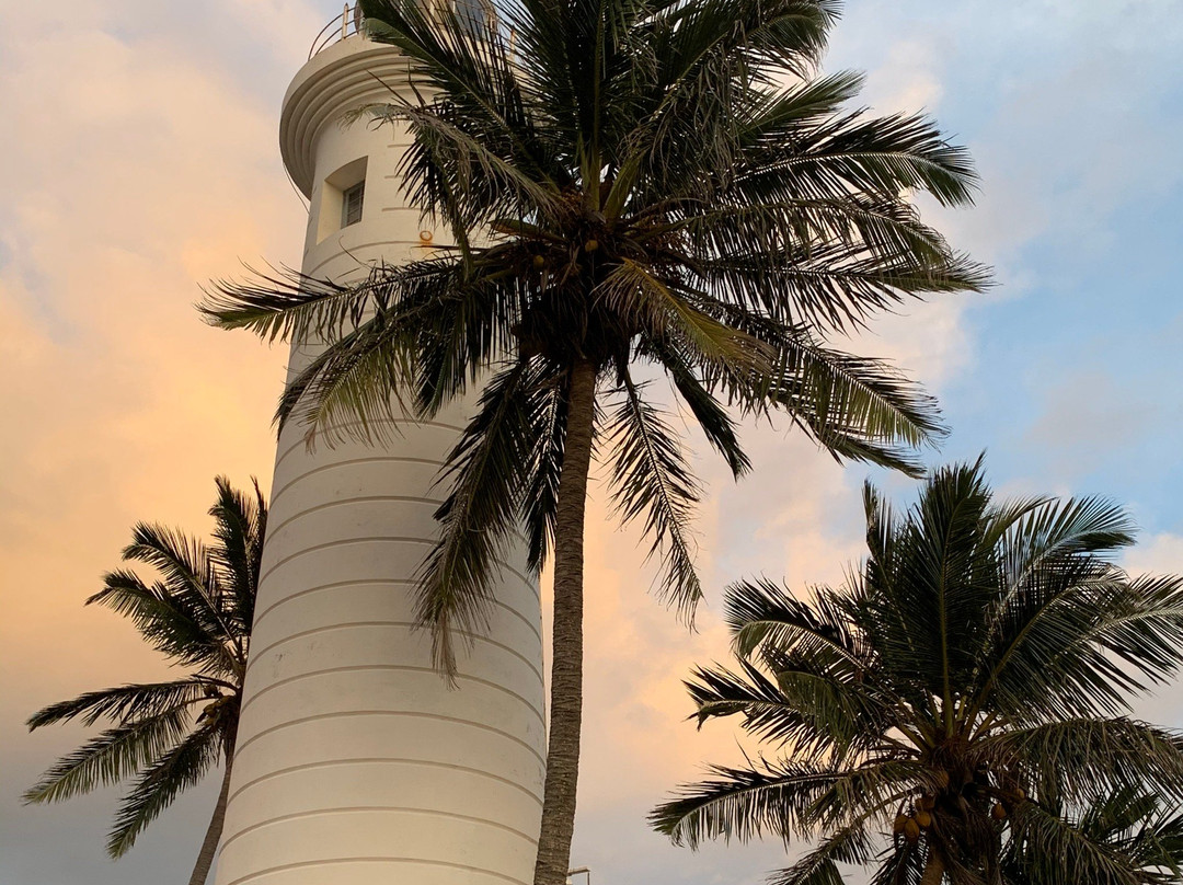 弗兰吉帕尼汽车旅馆主图