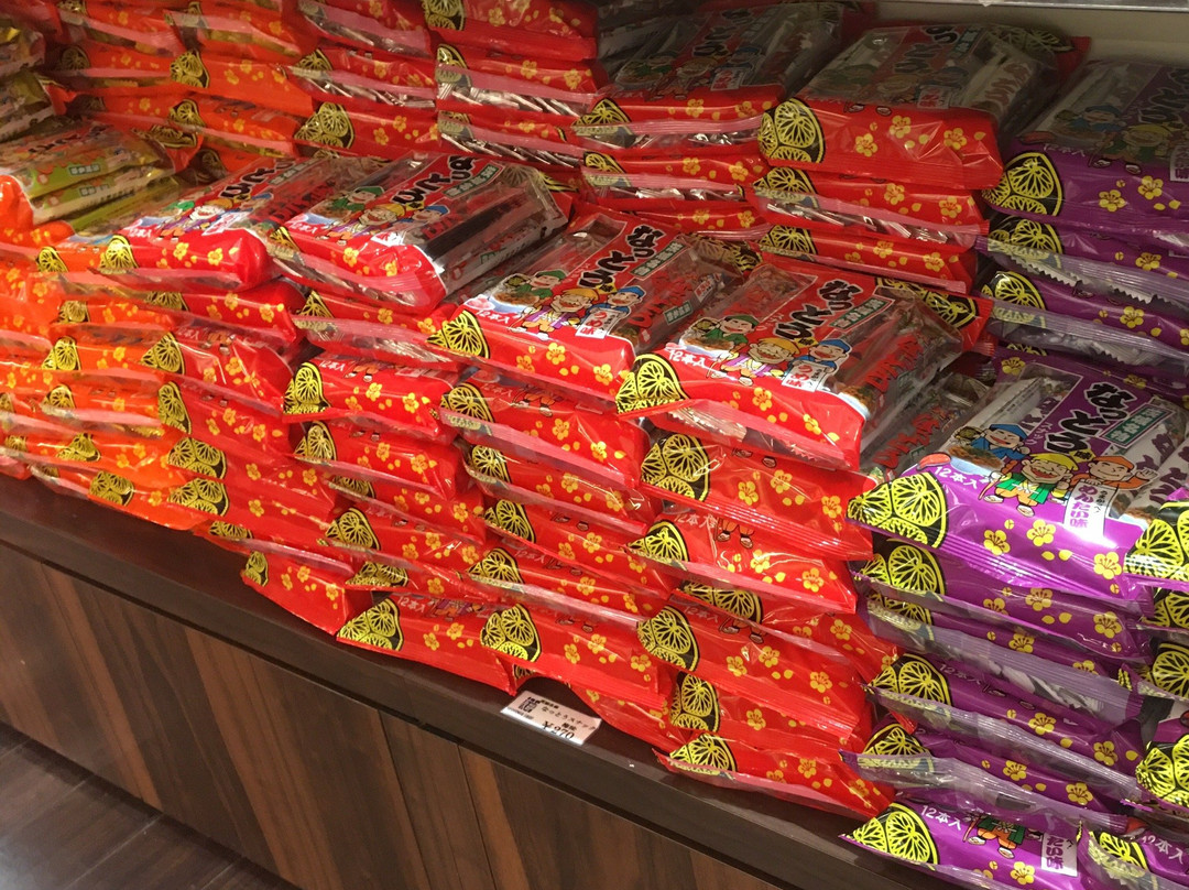 Tomobe Service Area Inbound-笠间市必去景点