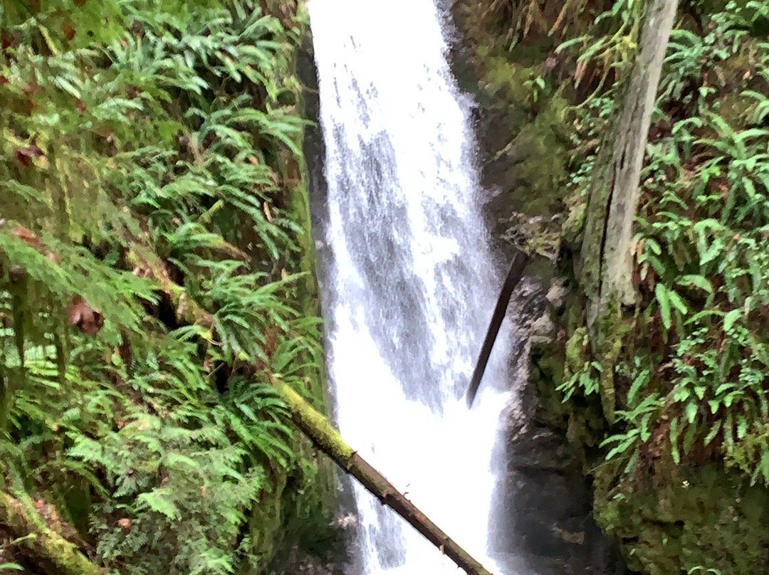 Burnett Falls Park-Sechelt必去景点