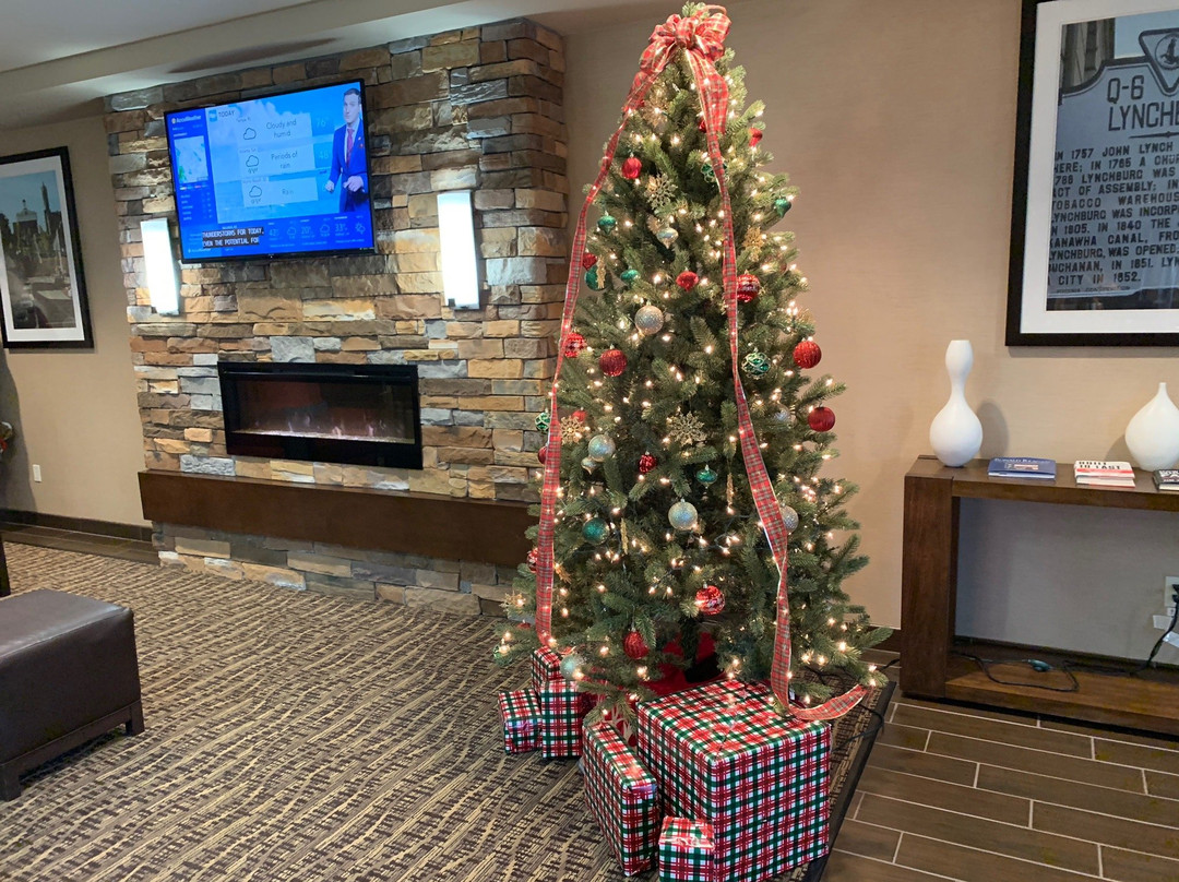 Comfort Inn & Suites Lynchburg Airport - University Area主图