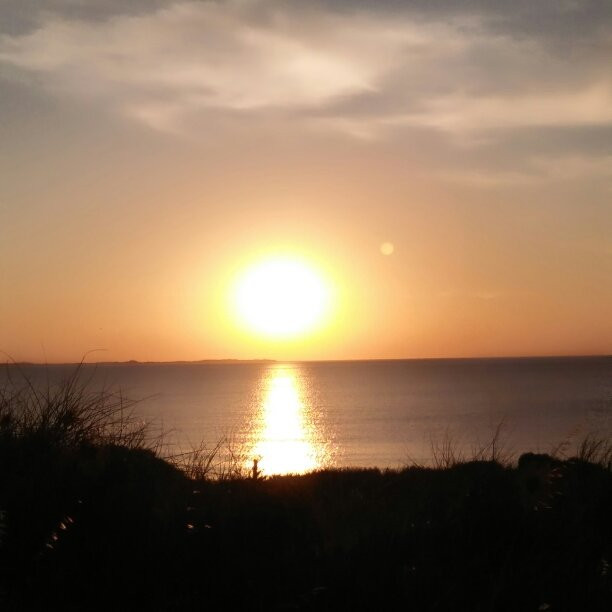 Coogee Beach景点图片