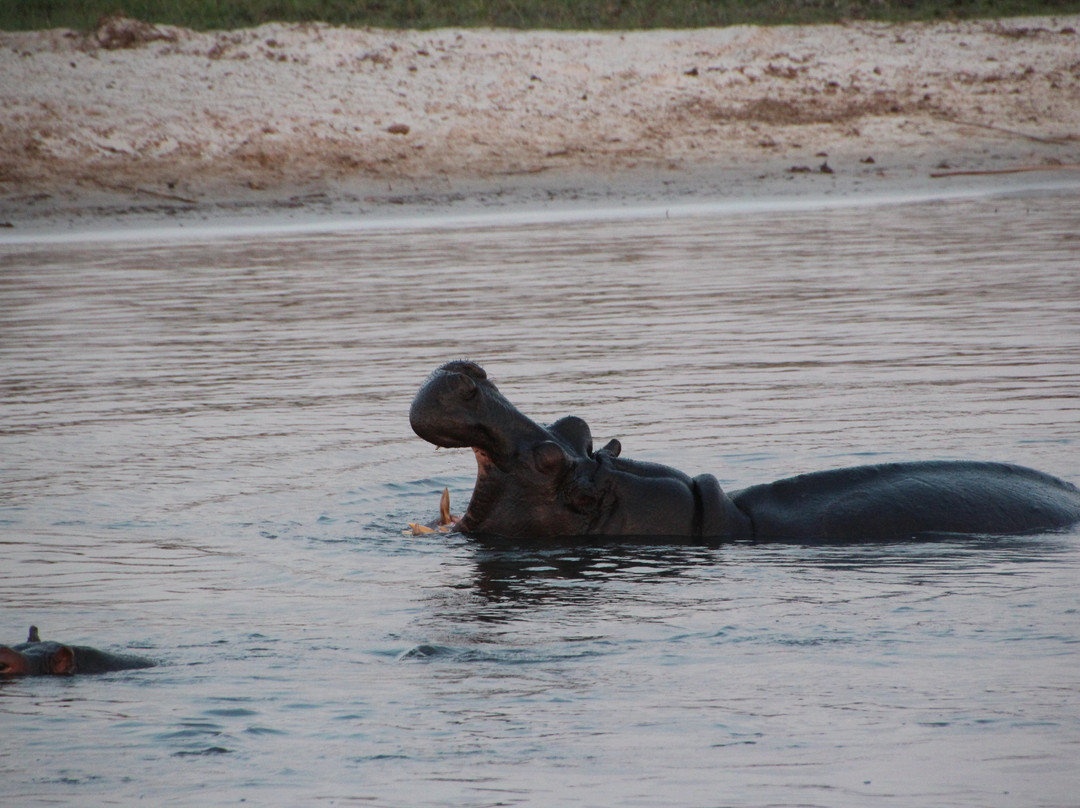 Bwabwata National Park旅游攻略图片