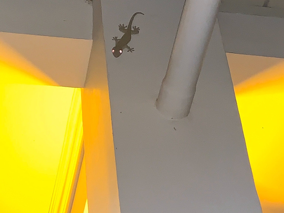 Panorama De Argao主图