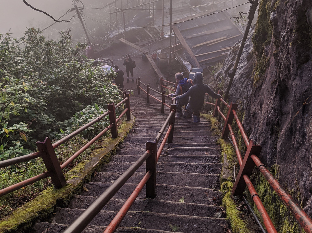 Slightly Chilled主图