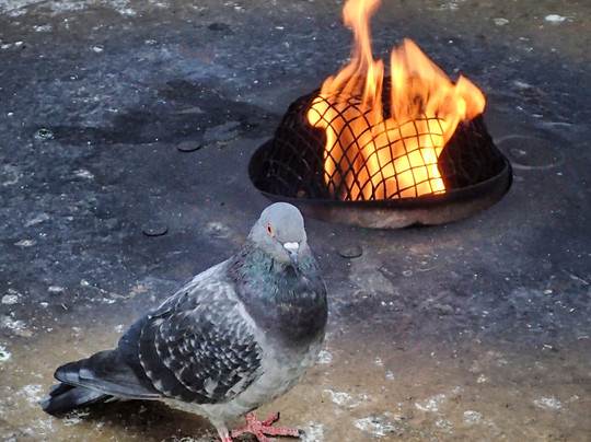 地德雷中心-芝加哥必去景点