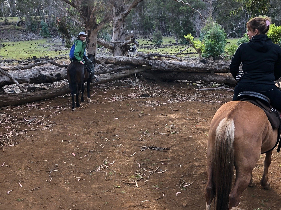 Adventure Terevaka-安加罗阿必去景点