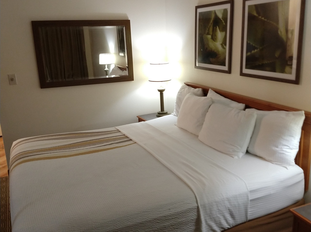 La Quinta Inn & Suites by Wyndham Sunrise Sawgrass Mills主图