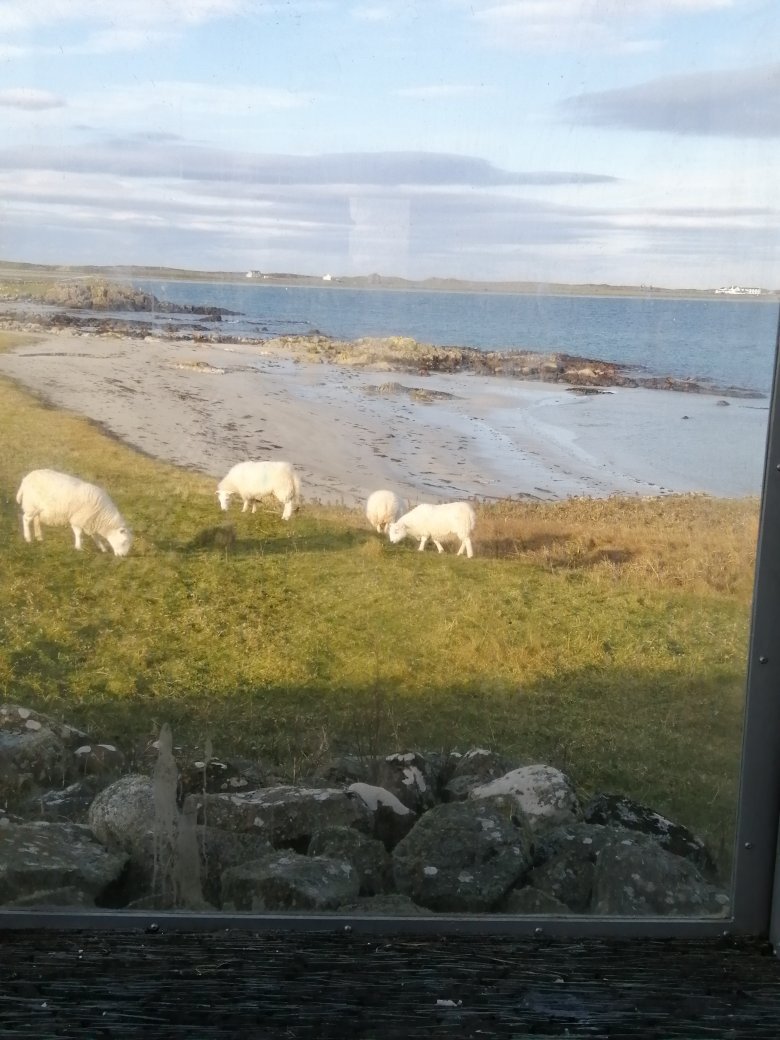 Rockvale Guest House-官方